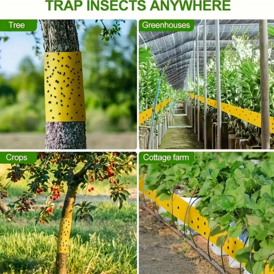 TreeGuard™ – Αυτοκόλλητη Ταινία Παγίδευσης Εντόμων για Δέντρα και Φυτά