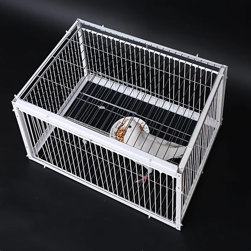 SkyGuard™ – Επαγγελματικό κλουβί περιστεριών με σύστημα αυτοκλεισίματος