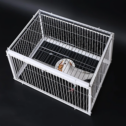 SkyGuard™ – Επαγγελματικό κλουβί περιστεριών με σύστημα αυτοκλεισίματος