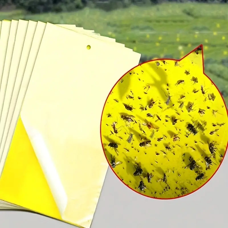 InsectCatcher™ - Σετ 60 κολλητικών παγίδων για ιπτάμενα έντομα