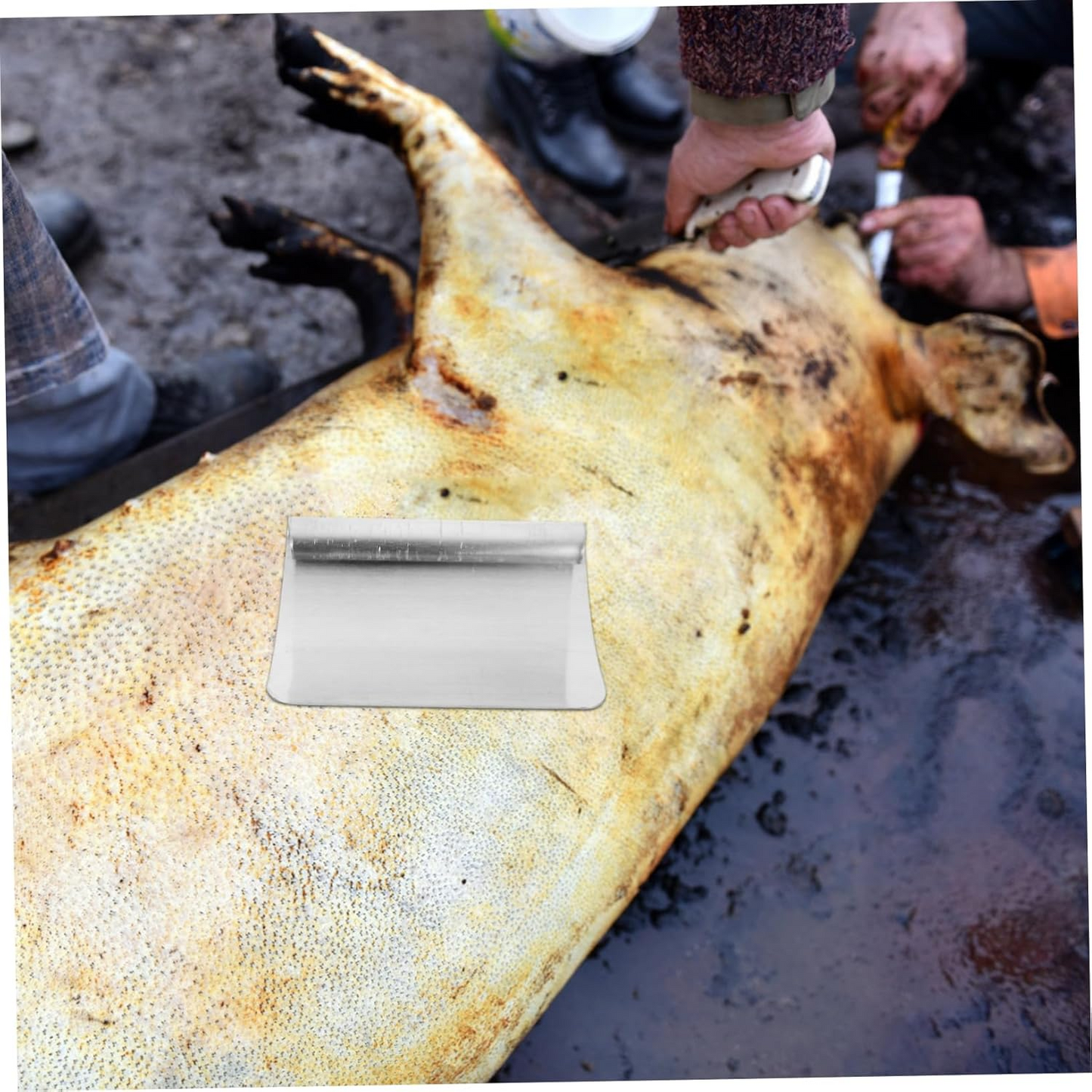 HogClean Pro™ – Επαγγελματική ξύστρα από ανοξείδωτο χάλυβα για τρίχες γουρουνιού