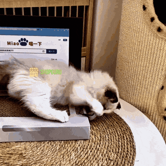 KittyTech™ Παιχνίδι για γάτες σε σχήμα φορητού υπολογιστή