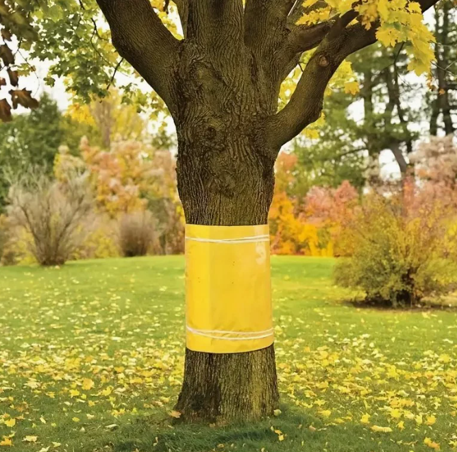TreeGuard™ – Αυτοκόλλητη Ταινία Παγίδευσης Εντόμων για Δέντρα και Φυτά