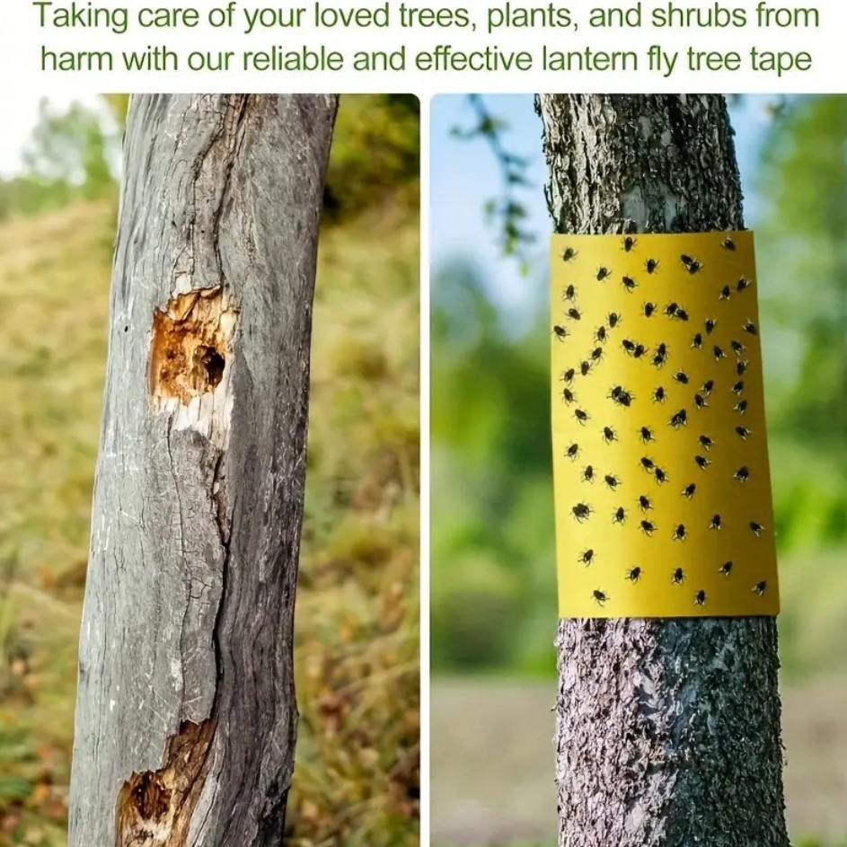 TreeGuard™ – Αυτοκόλλητη Ταινία Παγίδευσης Εντόμων για Δέντρα και Φυτά