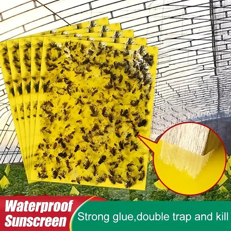 InsectCatcher™ - Σετ 60 κολλητικών παγίδων για ιπτάμενα έντομα