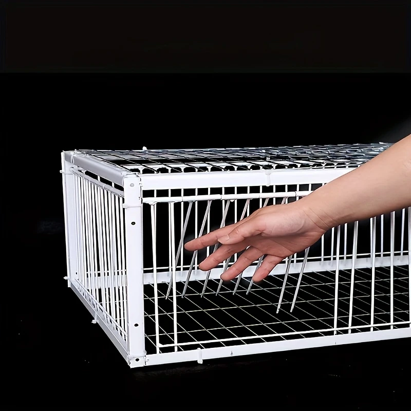 SkyGuard™ – Επαγγελματικό κλουβί περιστεριών με σύστημα αυτοκλεισίματος